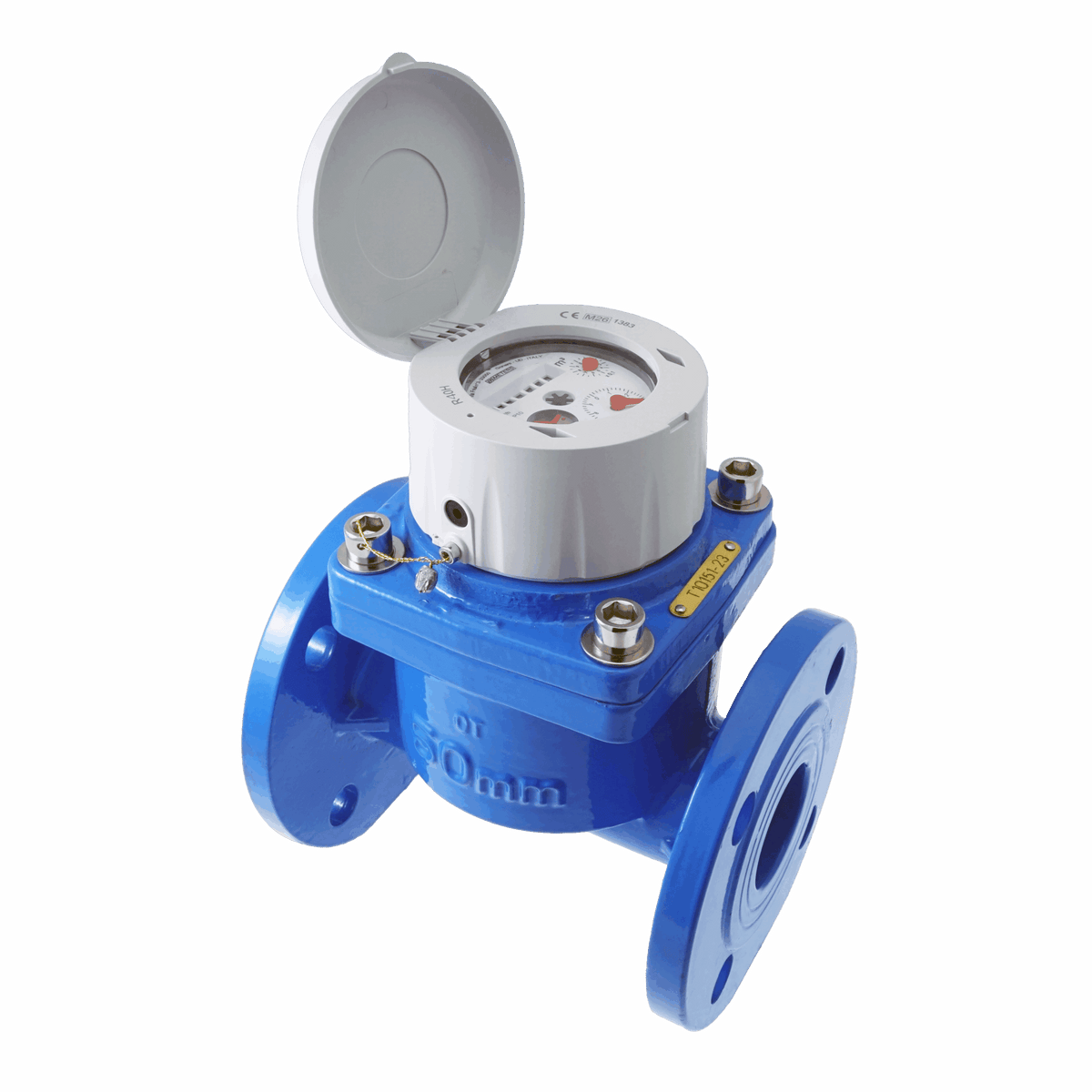B Meters TAN-X5 Irrigation Water Meter - DN200
